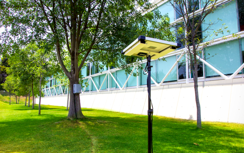 <a href="/Knotion/">Buzz</a> es parte de la revolución científica. Vigilando un fresno en <a href="/Varmond_School/">Varmond School</a>, contribuye al proyecto de <a href="/HeartMathInst/">HeartMath Institute</a> para comprender el lenguaje de los árboles. Con un sensor en funcionamiento, la comunidad se une como 'citizen-scientists'. #CienciaEducativa