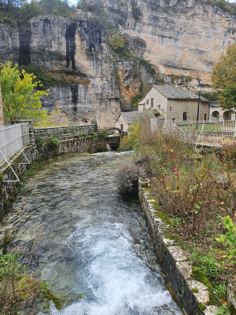 Joseph Falanga (@josephfala60080) on Twitter photo 