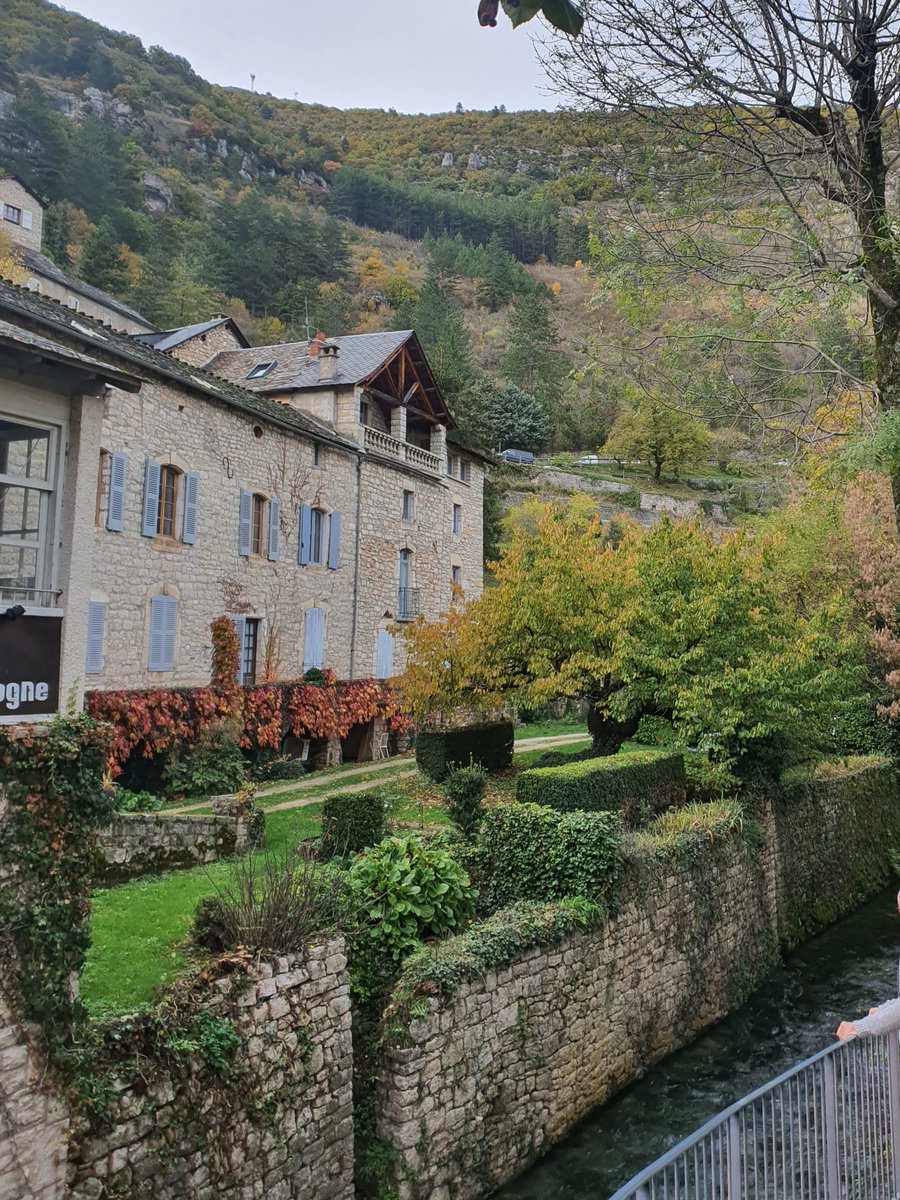 Joseph Falanga (@josephfala60080) on Twitter photo 