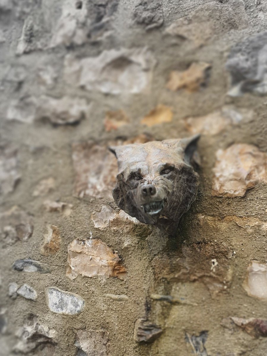 Joseph Falanga (@josephfala60080) on Twitter photo 