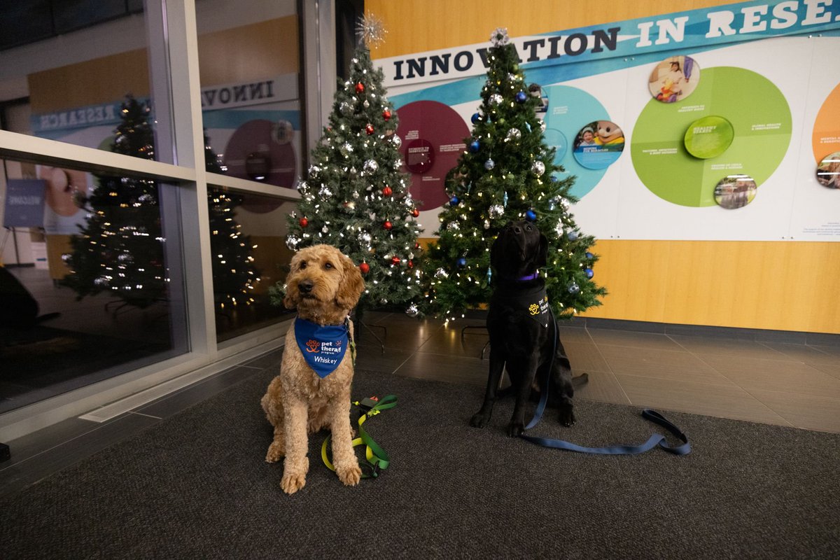 Children's Healthcare Canada (@childhealthcan) on Twitter photo A heartfelt thank you to our co-hosts <a href="/BCChildrensHosp/">BC Children's Hospital</a> for opening their doors to #ChildHealthCan23 delegates, showcasing their incredible space & introducing us to their adorable pet therapy dogs. You have a truly inspiring team and facility! A heartfelt thank you to our co-hosts <a href="/BCChildrensHosp/">BC Children's Hospital</a> for opening their doors to #ChildHealthCan23 delegates, showcasing their incredible space & introducing us to their adorable pet therapy dogs. You have a truly inspiring team and facility!