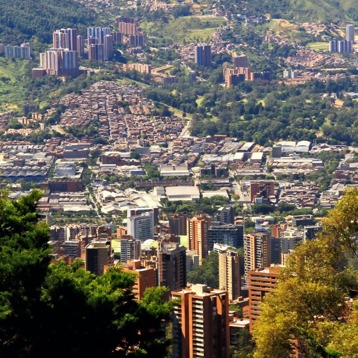 GlobalMigrat tweet media