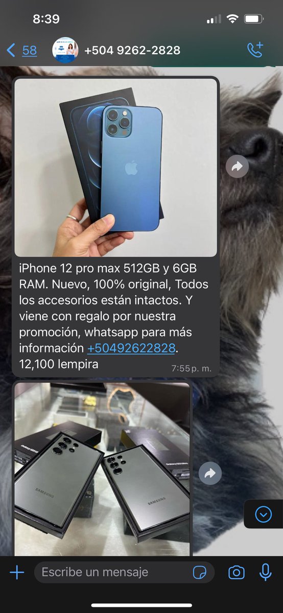 mprado970's tweet photo. https://t.co/kIqnVoCF6r