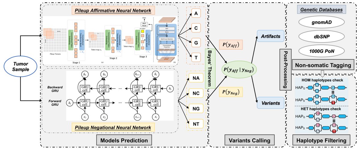 Ruibang Laurent Luo tweet media