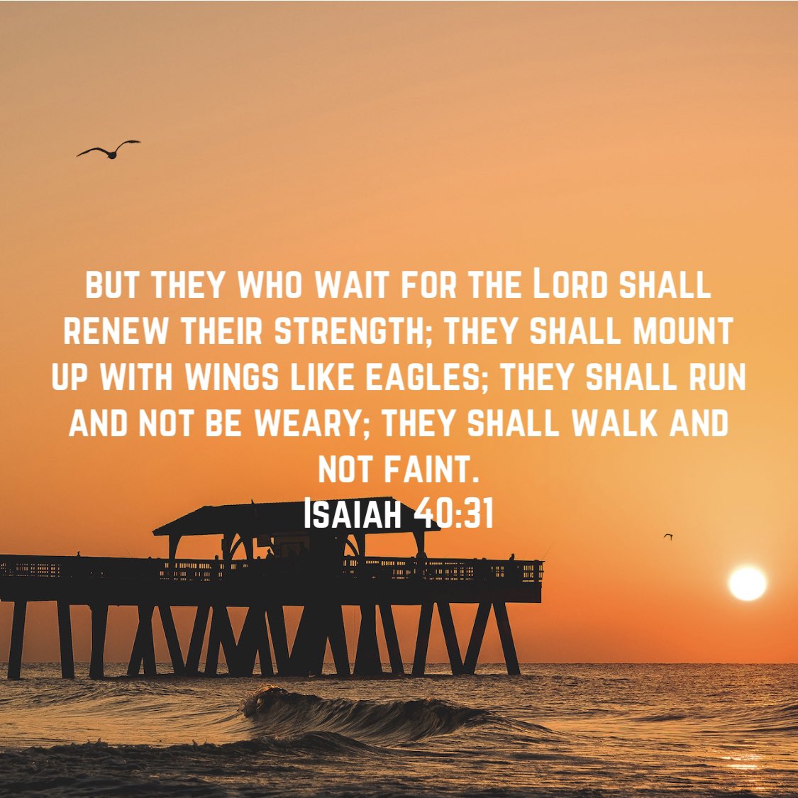 brad houchin (@houchinbrad) on Twitter photo 