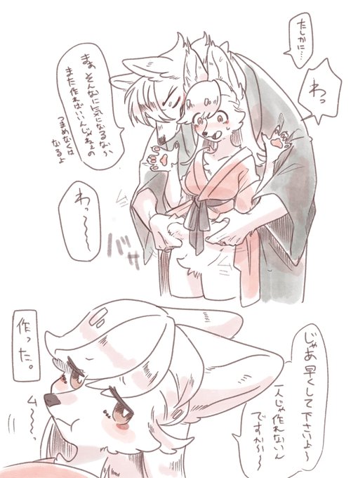 根本的解決はしない🦊