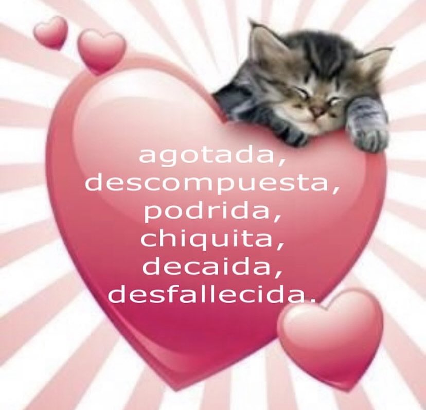 cansadetodo's tweet photo. https://t.co/TJx9wFbk1c