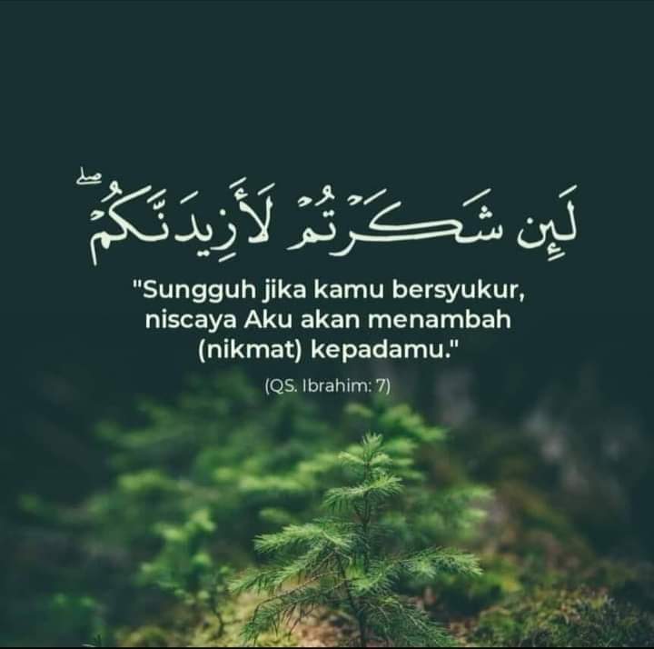 KamilahZahra313's tweet photo. Apa pun pemberian dari Allah Swt kita harus mensyukuri, karena dengan mensyukuri Allah Swt akan menambahkan kenikmatan kepada kita.

#GenosideSupporters
#IsraelPalestineWar
#IsraelWarCrimes
Asam Sulfat Nyetrika Ade Armando Senin Marapi Bakpia Indonesia Lebih Baik https://t.co/JL1fAihDPV