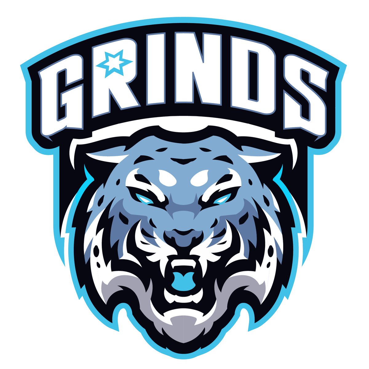 DogBallin10's tweet photo. Introducing Grinds Clan ❄️🔒 https://t.co/KoU32yxDi4