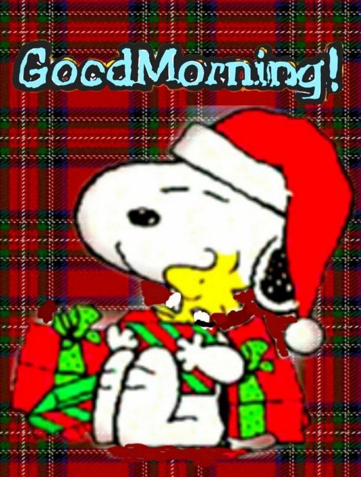 @ZELDAZARIZAZANN @finniz50 @Mexicanblueeye @dunecat1 @KeysMom1031 @pfluecksalat @Tino33467879 @micropush @soyeahbasically @DianeHewson @Lifesbusy Morning Zelda Have a great Day and Week Sister You Rock Fam. 
❤️💚❤️🎅🎅🎅☕️