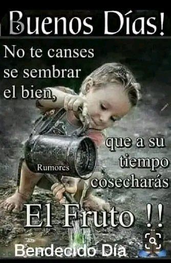 Buen día!!!
