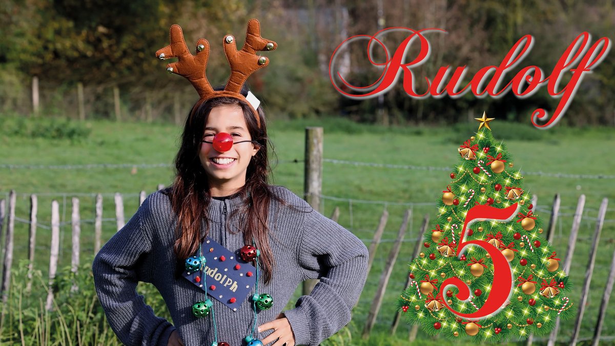 🎄🎄Enter our prize draw to win a £150 Amazon voucher by donating £2 to guess the winner of our reindeer race!

Could it be no.5 Rudolf??

ENTER HERE>>>

youthcancertrust.org/blog/news/rein…