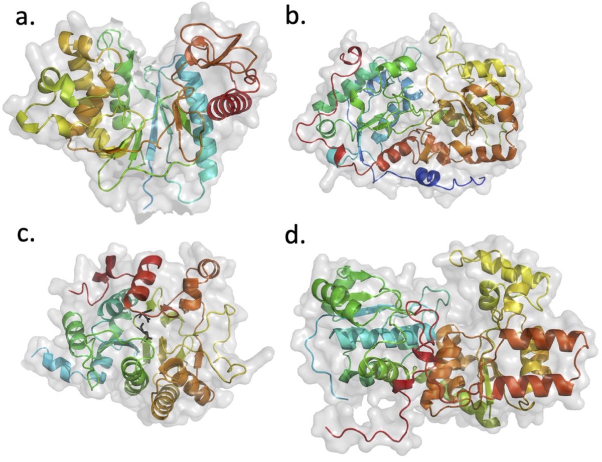 Geitmann Lab (@geitmannlab) on Twitter photo Chapter 2 by <a href="/AlbanMariette/">Alban Mariette</a>, Thomas Michael Curry, <a href="/BreeannaUrbano1/">Dr. Bree Urbanowicz</a>, <a href="/EbertLab/">Berit Ebert</a>: Plant cell wall glycosyltransferases - from sequence to structure and function Chapter 2 by <a href="/AlbanMariette/">Alban Mariette</a>, Thomas Michael Curry, <a href="/BreeannaUrbano1/">Dr. Bree Urbanowicz</a>, <a href="/EbertLab/">Berit Ebert</a>: Plant cell wall glycosyltransferases - from sequence to structure and function