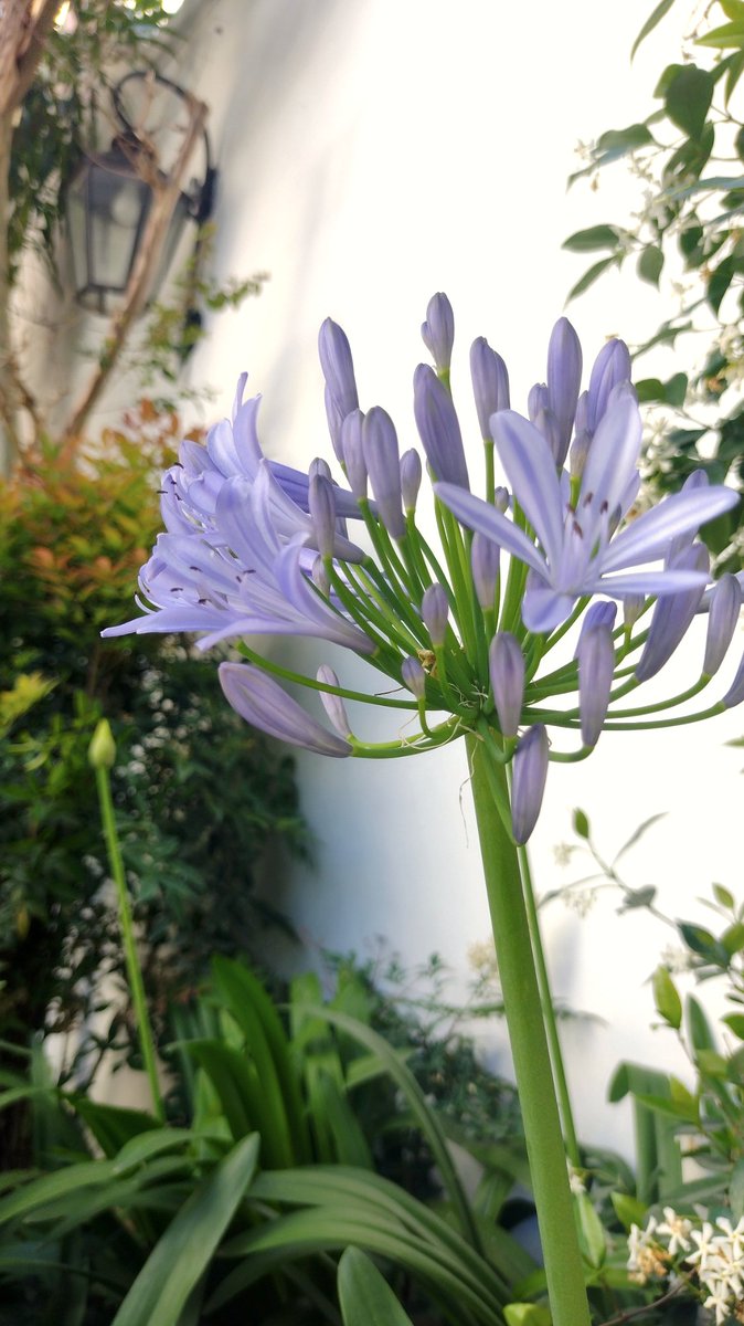 Buen día 😘!!
Excelente día para todos 💜!!
#BuenLunes #FelizLunes