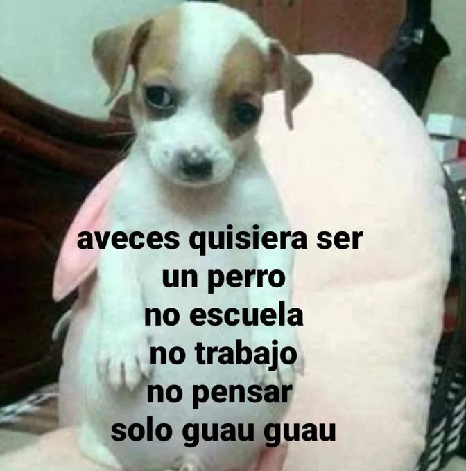 piña sin pizza (@skereunpesado) on Twitter photo 