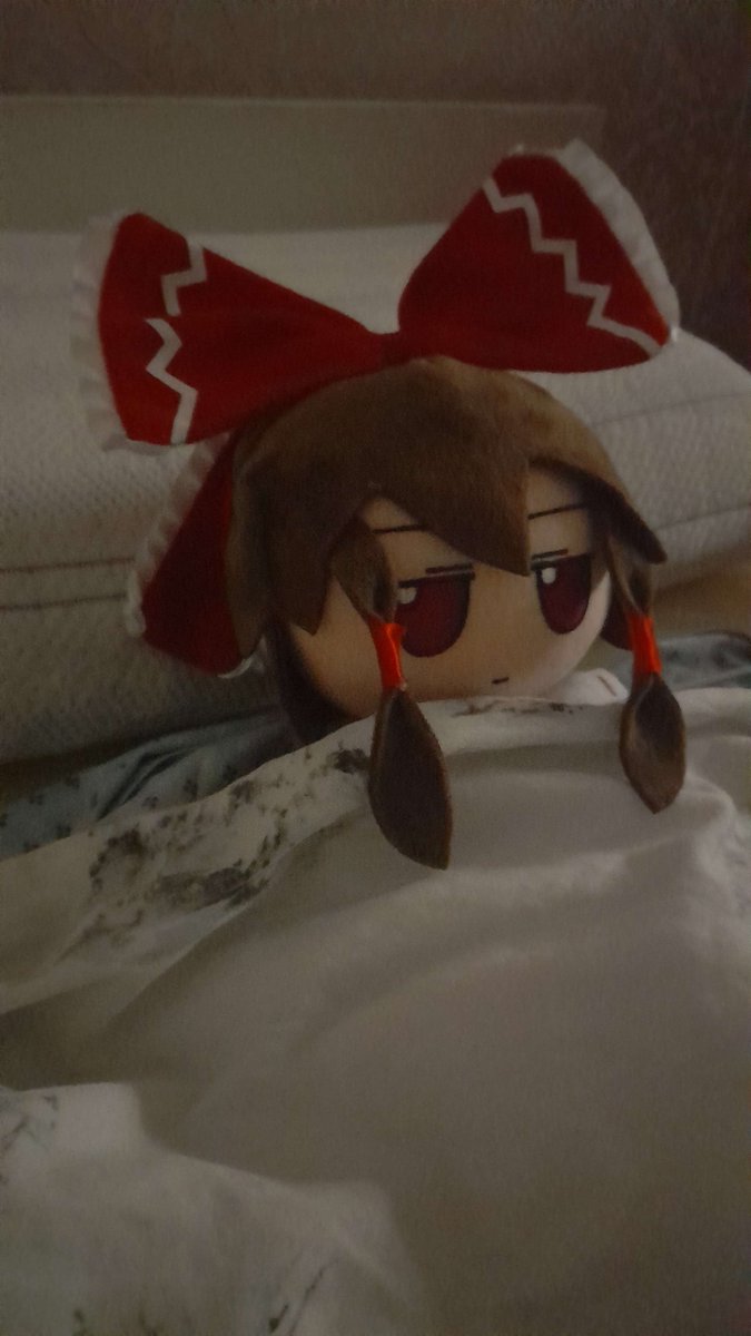 coolfellawebp's tweet image. look at my fumo (best purchase of my life)

#reimu #fumo