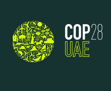 Sean Doherty tweet media