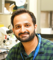 DBS of IISER Mohali @IiserMohali warmly welcomes Dr. Hasan Mohammad @HasanMo88171110 as a new Assistant Professor. A PhD from the Åbo Akademi University, Finland, and a Postdoc from A*STAR, Singapore, Dr. Mohammad will soon start his Systems Neuroscience and Behavior Lab at DBS