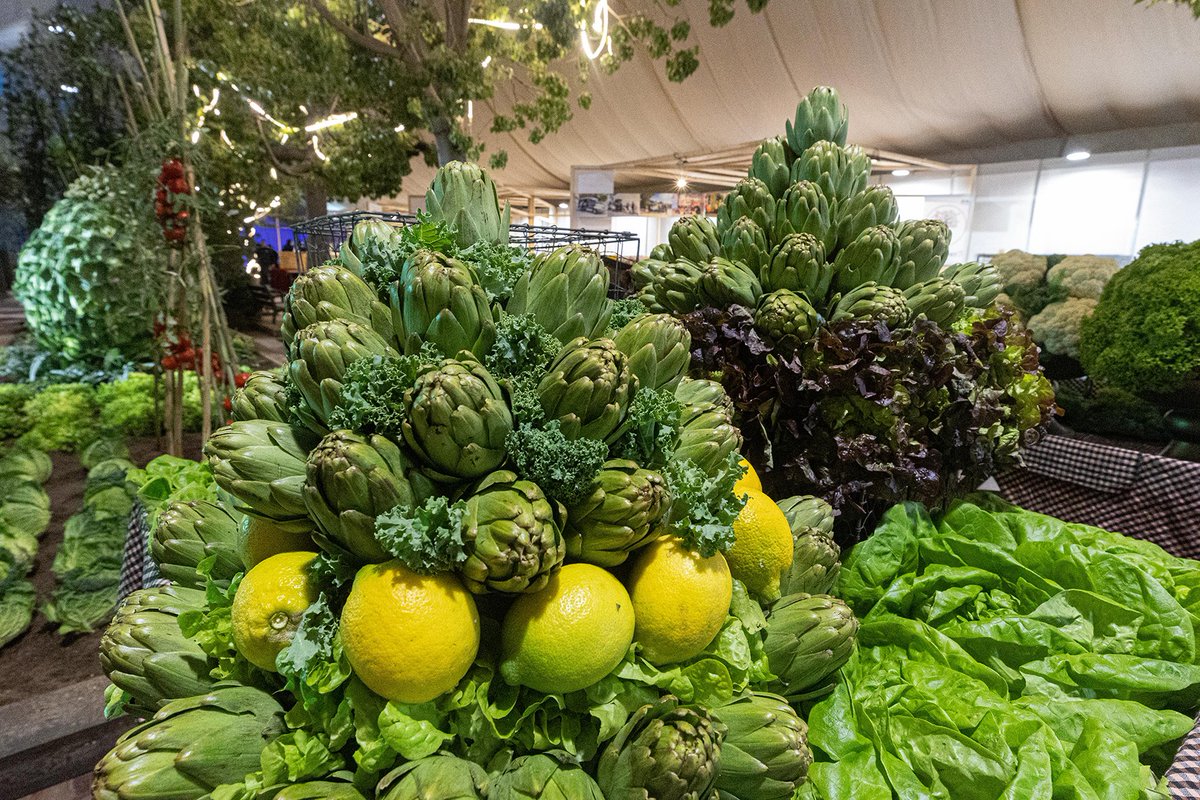 Els tres dies de Fira podreu visitar la Carpa Sostenible i Saludable 🌳🍃♻️
ℹ️ Trobareu tota la programació de la Carpa Sostenible i Saludable al programa de la fira (link a la bio)
🗓 6, 7 i 8 de desembre
🕖De 10 a 21 hores
📍Parc de la Muntanyeta