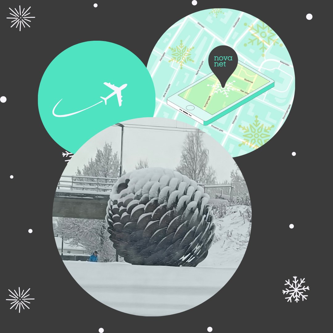 Ny luke i Novanets #julekalender er åpen, og dagens destinasjon er skikkelig k(r)onglete! Det er enda ikke for sent å delta 👇
julekalender.novanet.no