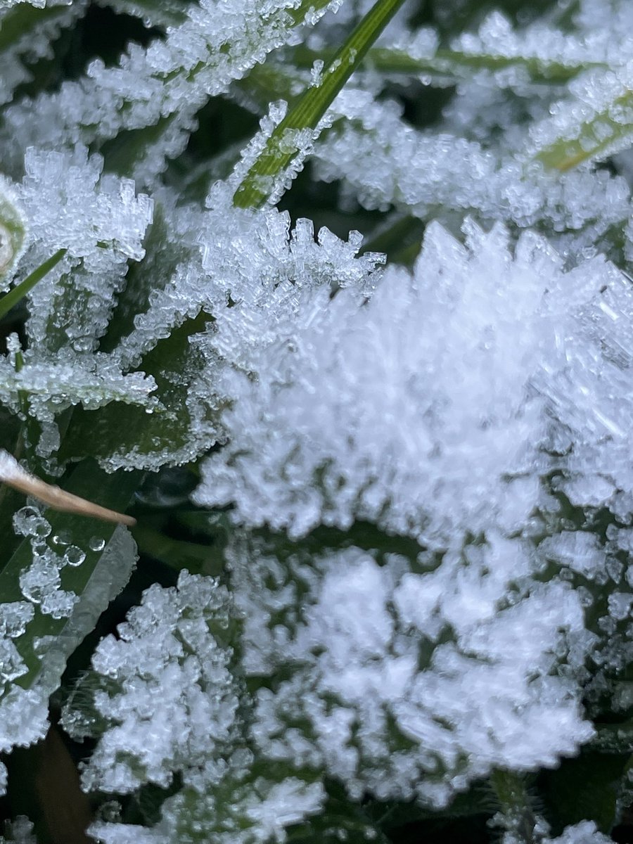 CMBJ29's tweet photo. Winter https://t.co/S8Hn5fYDdO
