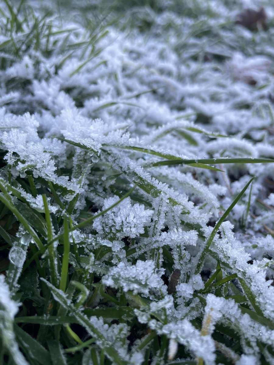 CMBJ29's tweet photo. Winter https://t.co/S8Hn5fYDdO