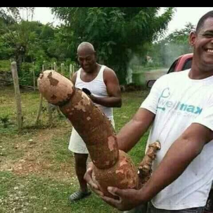 Alfredo18135521's tweet image. #VenezuelaDijoSí🇻🇪🖐

▶️Buenos Dias VENEZUELA sin Comentarios◀️

🌈✊