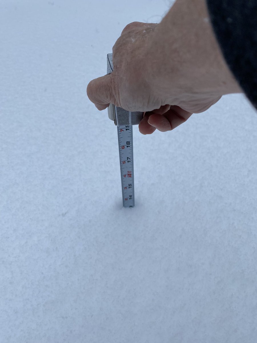 Sixty-something tweet media