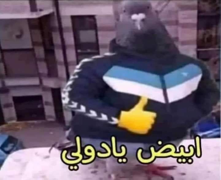 mostafaanaady's tweet photo. @itseemsbad التوكسو والمديسنال اللي مستنيني يوم ٢٨ https://t.co/YjIfc8BdhI