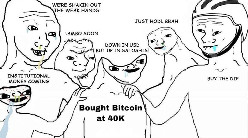 Fery_Captain22's tweet photo. Meme collection 6 @Portalcoin #Crypto #CryptoMeme https://t.co/VZsvqlIPbM