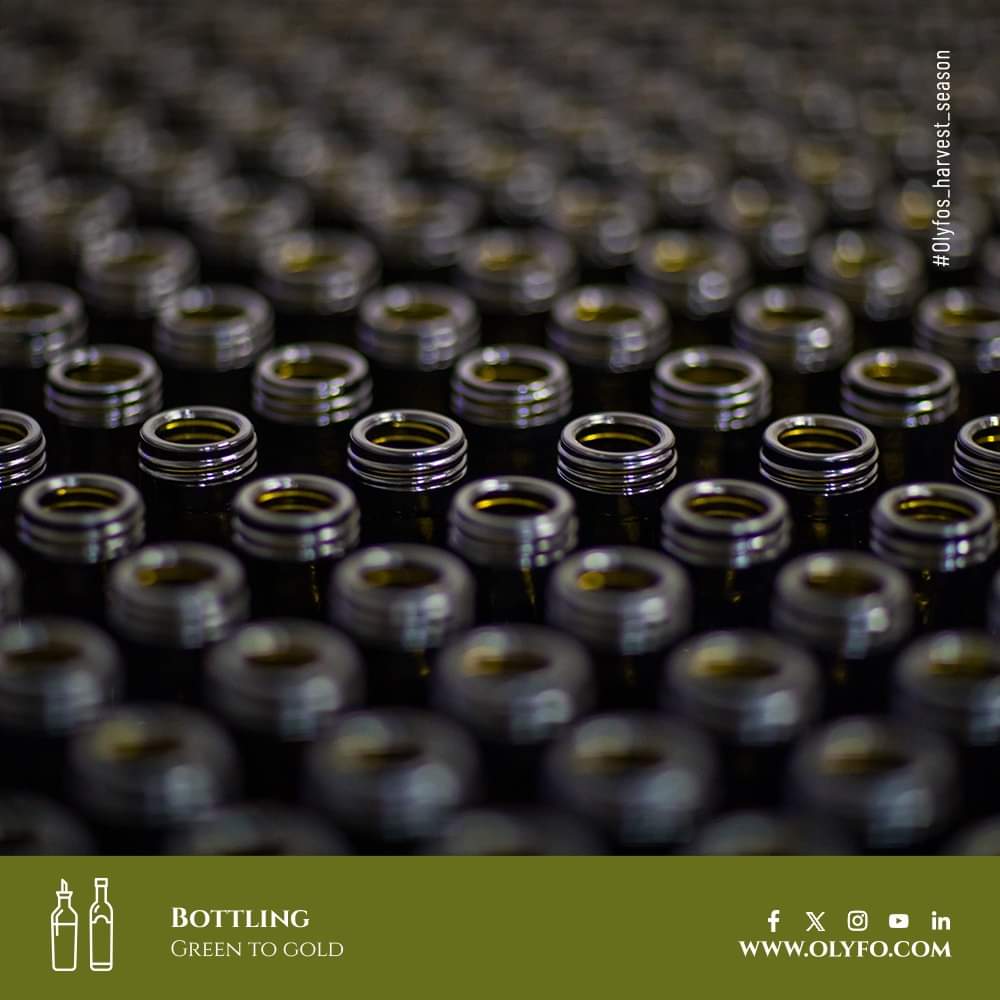 weareolyfo's tweet photo. Crafted with care 💚
Our Extra Virgin Olive Oil is bottled in the final stage, eagerly awaiting its journey to deliver exquisite flavor to your table 😋
Every drop captures the essence of our rich land and centuries-old olive cultivation tradition 🥰

#OLYFO #OlyfoHarvest https://t.co/6tnoKJ6MHR