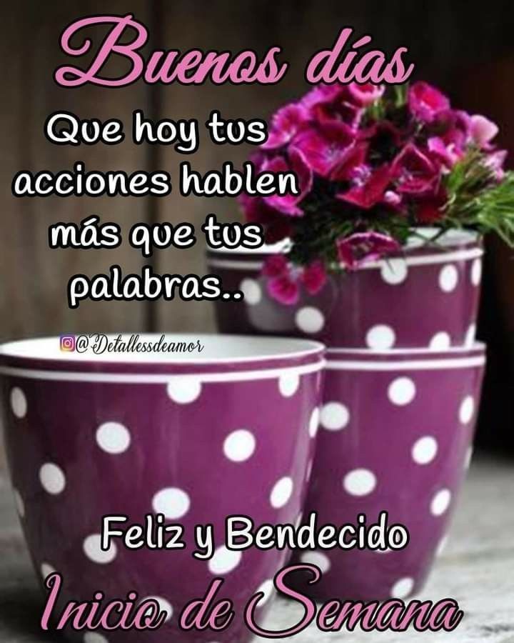 #BuenosDias ☀️
#FelizLunes  y #BuenInicioDeSemana 🙏☕✨🌺
🎼🍀🎶🫂🥰😘