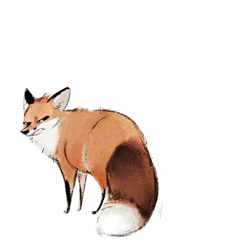 no humans animal focus white background simple background fox animal orange fur  illustration images