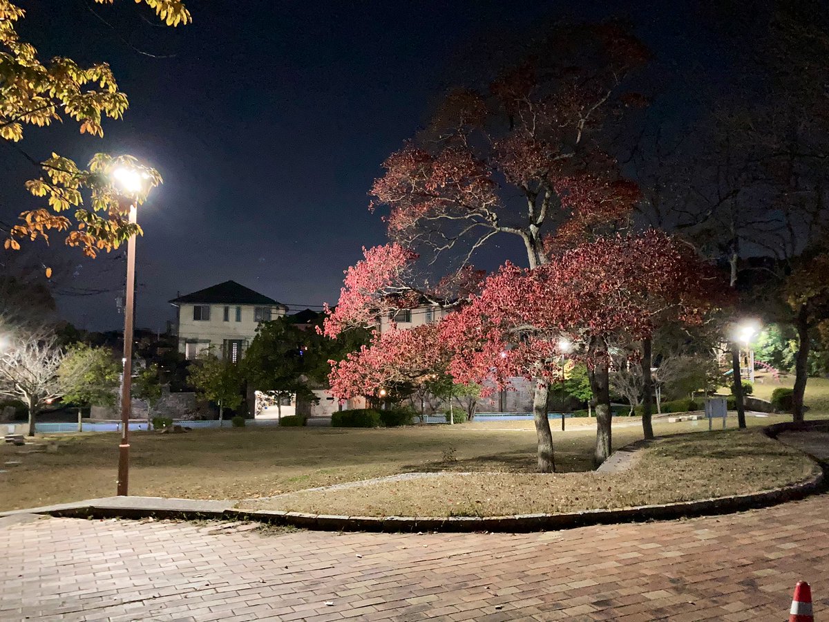 kaz6thlife's tweet photo. 【Greetings】
🌃🌅✨
Good evening my all worldwide gentle & naive & brave & intelligent but a little funny & strange followers❣️
How are you doing❓I'm taking a walk listening #fmcocolo #EarthColours
♥️#Kobecity Japan.
Dec.3rd.Mon.20:50'23.※At a nearby park https://t.co/YYVpuxoe7R