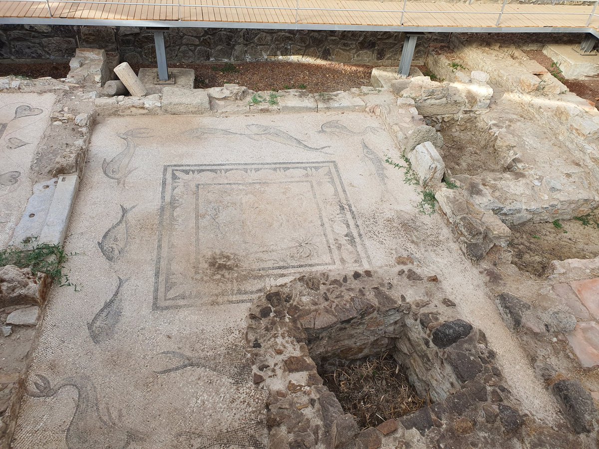 Kim Humberstone OBE tweet media