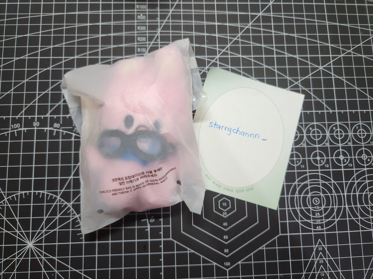 WTS STRAY KIDS PLUSH 10CM PILOT CHANGBIN DWAEKKI

290.000 inc packing &amp; adm

- dibuka 1x hanya untuk cek condi
- lengkap sama tag yaa

link: shp.ee/45qrpsc

📍bandung

⚠️ gak bisa booking / keep event yaa