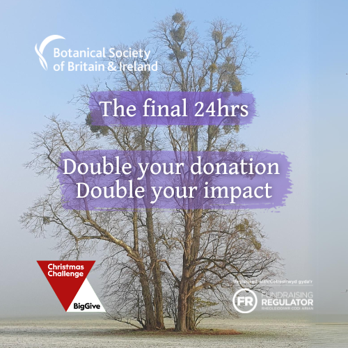 Thanks to 46 amazing donors, we’ve raised >£6000 towards botanical training via @BigGive #ChristmasChallenge! With <24hrs to go until the deadline, we still have £1,307 of matched donations to unlock. Are you able to help? Any amount you can spare, however small, will be doubled!