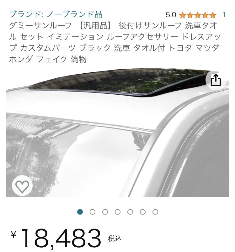 ダミーサンルーフ草 安心設計、じゃあないんだよ