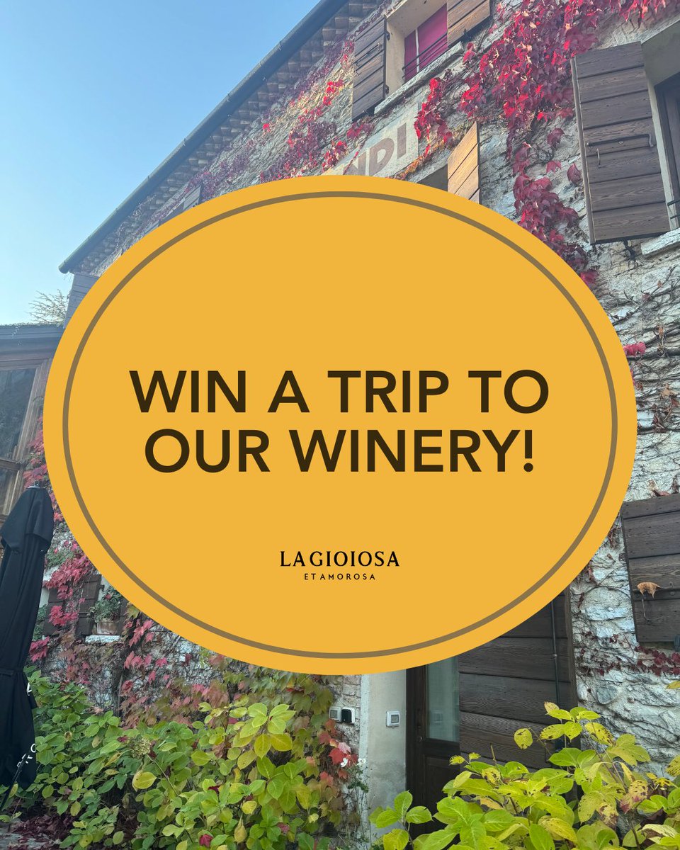 lagioiosauk's tweet photo. 🇮🇹✨ WIN A VIP VISIT TO OUR WINERY IN ITALY! ✨🇮🇹

Christmas is all about giving, so we’re giving two more of our lovely followers a chance to WIN a once in a lifetime trip to our winery, just outside of Venice!

#LaGioiosa #ShareTheJoy #AVeryItalianChristmas #Win #Giveaway

1/4 https://t.co/nmawXjlBg5