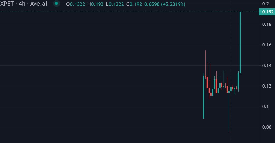 开盘了 $XPET