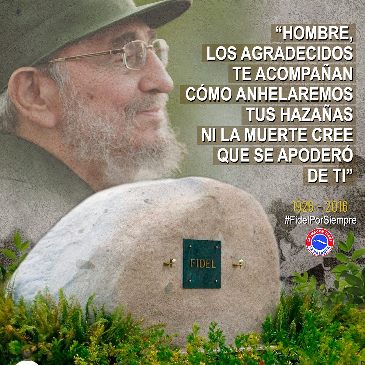 Imposible visitar a Fidel sin una flor en la mano,porque es nuestro infinito tributo. Y mientras mostramos esta manera de amarlo,le oímos hablarnos del concepto de Revolución: “..es defender valores en los que se cree al precio de cualquier sacrificio...” #FidelPorSiempre