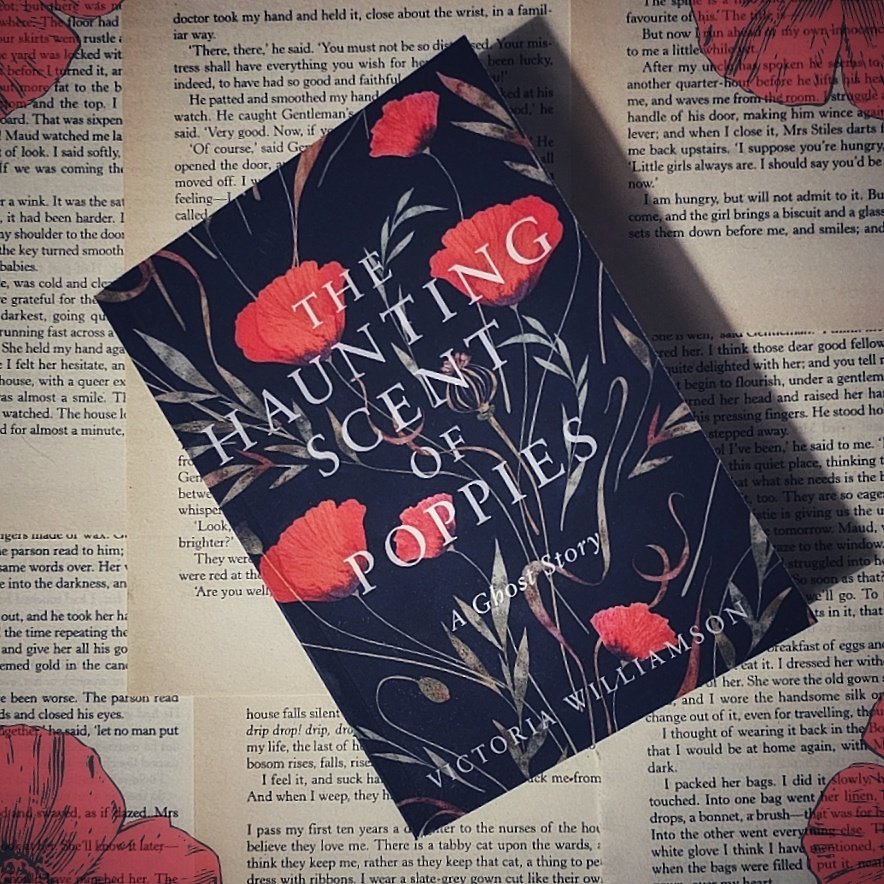 Kate - madasbirds 📚 tweet media