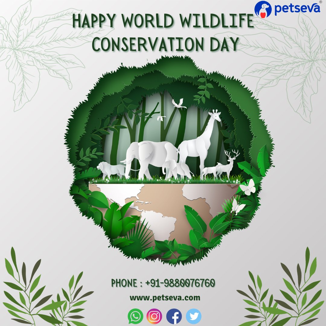 pet_seva's tweet photo. The occasion of World Wildlife Conservation Day inspires us all to contribute towards conserving the wildlife on the planet for a better tomorrow.
#WorldLifeConservationDay #mythorfact #veterinaryclinicnearme #veterinary #petseva #petcare #Vet #Pet #vetnearme #digitalplatform https://t.co/txv8F9S91L