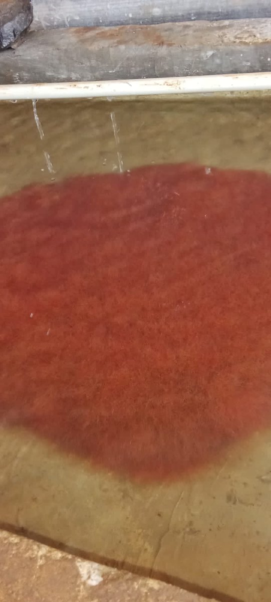 wanted....produk lokal protein mengalahkan produk impor
<a href="/bbpbat_sukabumi/">BBPBAT SUKABUMİ</a> <a href="/djpt_kkp/">Direktorat Jenderal Perikanan Tangkap</a> <a href="/kkpgoid/">KKP RI</a> @puslatluhkp <a href="/saktitrenggono/">Sakti Wahyu Trenggono</a> <a href="/sandiuno/">Sandiaga Salahuddin Uno</a>