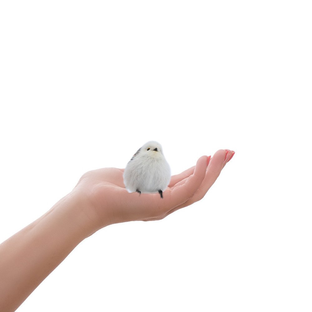 シマエナガ》 生息地：北海道 全長：約14cm（半分は尾） 体重：約