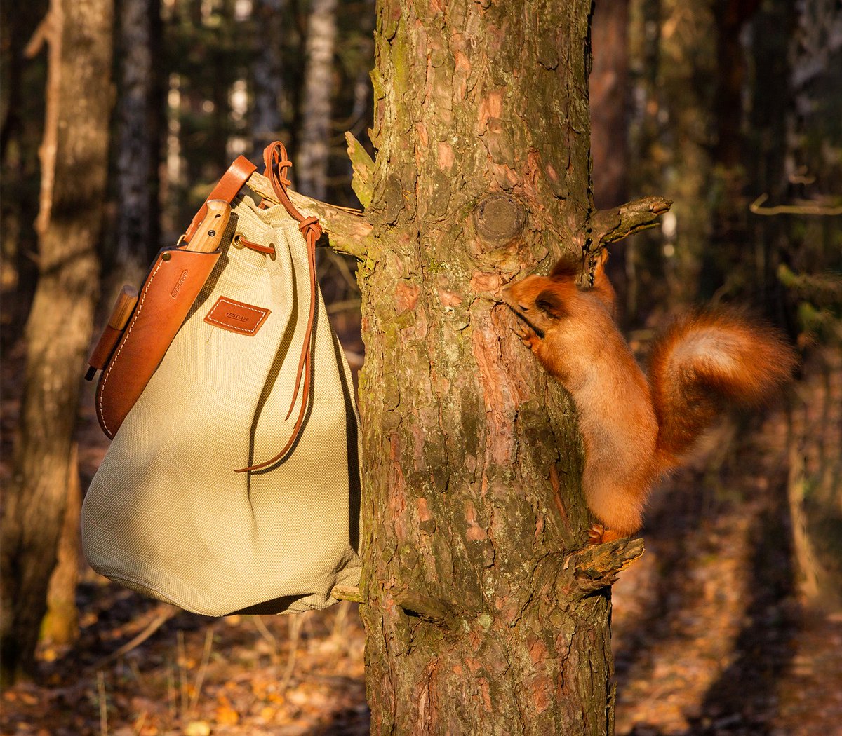 Whether you're venturing into the wilderness or chilling in your backyard, the 7 Principles of Leave No Trace offer a simple guide to minimize your impact. Each principle tackles a specific aspect, empowering you to tread lightly on this beautiful planet🌎
#bpsknives