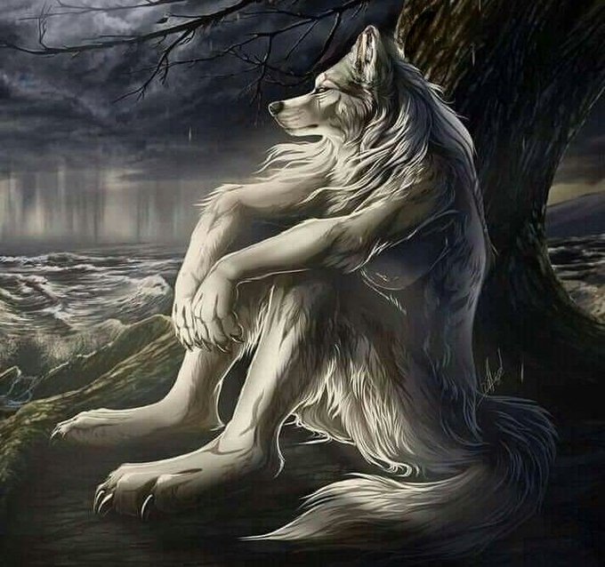 「sitting wolf」 illustration images(Latest)