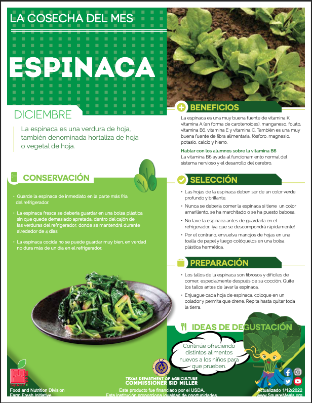 CafeSISD's tweet photo. Our "Harvest of the Month" for December is spinach. Students will be treated to a fun twist on spinach on December 15th. #ChildNutrition #ServeNourishEnrich #1TRIBE #SISD #HOTM https://t.co/KIhWZuYAhG