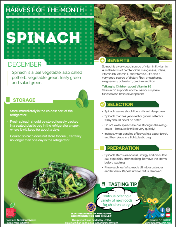 CafeSISD's tweet photo. Our "Harvest of the Month" for December is spinach. Students will be treated to a fun twist on spinach on December 15th. #ChildNutrition #ServeNourishEnrich #1TRIBE #SISD #HOTM https://t.co/KIhWZuYAhG