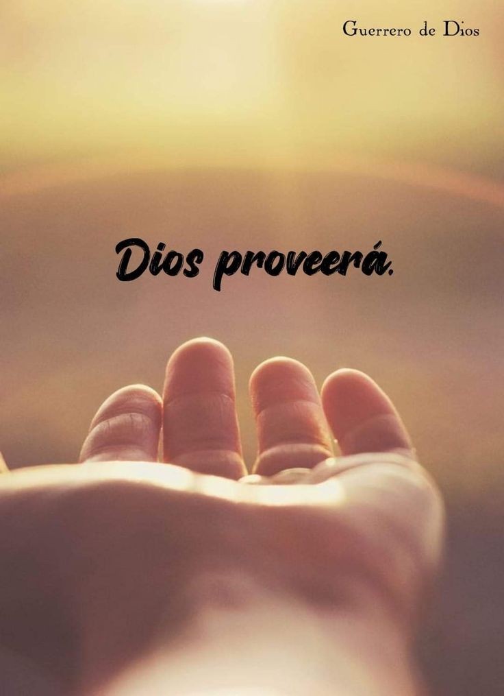 Laura_Glez_77's tweet photo. https://t.co/U0i0gT99Ij